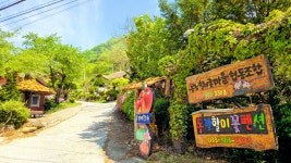 동강할미꽃펜션