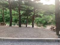 샘골솔밭야영장