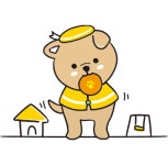 체크인독 애견유치원