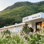 일상화카페