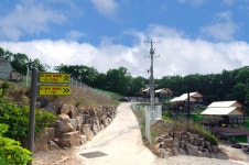 동화힐링캠프 글램핑