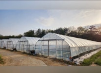 수신멜론황금밭농장