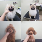 멍했냥 평택본점