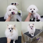 멍했냥 평택본점