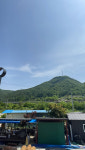 진이네민박