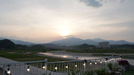 블루아라