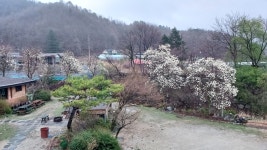 산속너와집 원주신림점