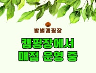 밤벌캠핑장