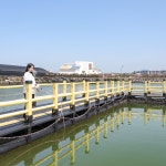 제주피싱테마파크