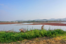 가고파 독채 단체펜션