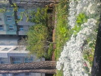 이모션프로