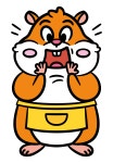 햄스터라운지
