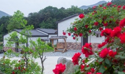 아로미펜션