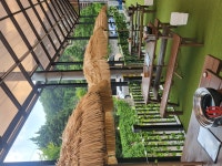 금남리 민물장어