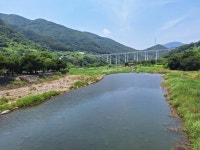 스파펜션아모르