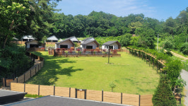 도그마실 케니스메이저