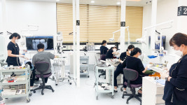 뉴튼치과병원 부산