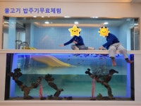 피코 키즈풀빌라 울산점