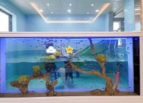 피코 키즈풀빌라 울산점