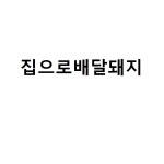 집으로배달돼지