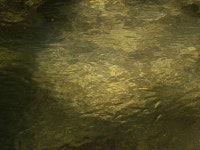 가평블루베리힐