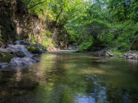 가평블루베리힐