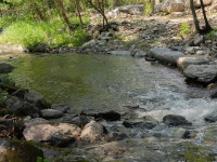 가평블루베리힐