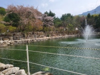 도마치캠핑장