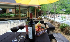 숲속계곡 쉴만한 물가 펜션