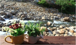 숲속계곡 쉴만한 물가 펜션