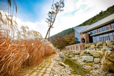 담양 리사 숲속마을