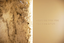 리엘치과의원