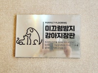 도그185 애견유치원&애견호텔