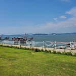 버드오토캠핑장