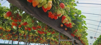 하동단체가족펜션 율이네팜스테이