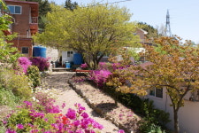 승봉도 일도네펜션