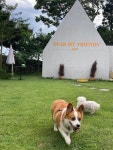 디어마이프렌즈 제주