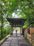 이대 정도령