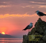 승봉도 일도네펜션