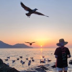 승봉도 일도네펜션