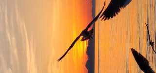 승봉도 일도네펜션