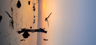 승봉도 일도네펜션