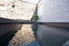 네이처러스 판포나일