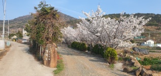 가덕도펜션민박