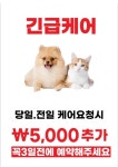 도도네개집