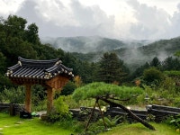 강산재