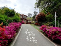 회룡대별장 펜션