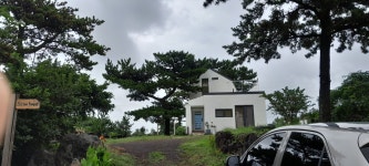 버튼포레스트