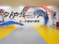 자이언트태권도