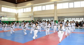 조양태권도본관